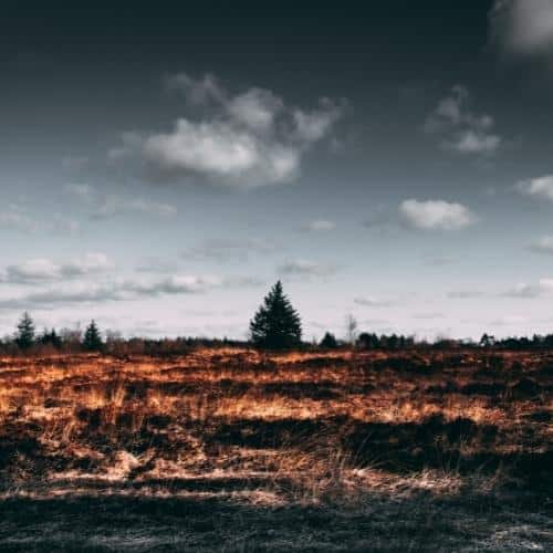 Les Français et la transition climatique – Vague 2