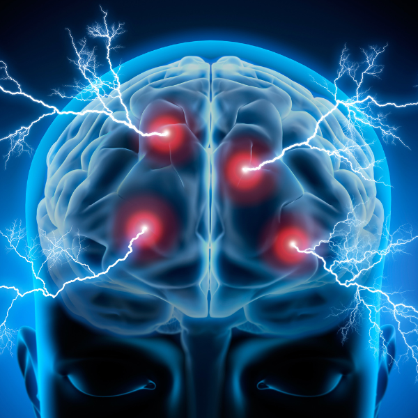 Les Français et le cerveau